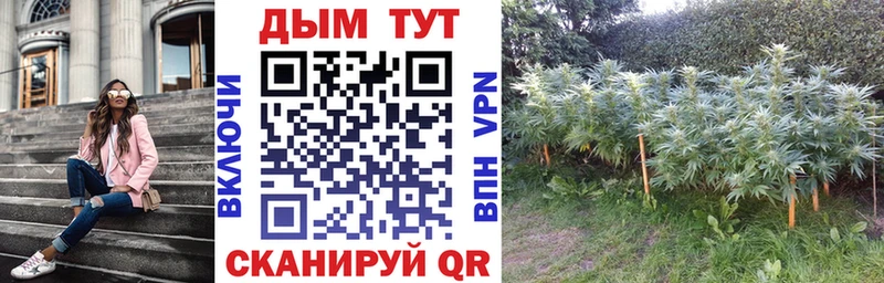 Бошки Шишки THC 21%  Купить закладки  Заозёрный 
